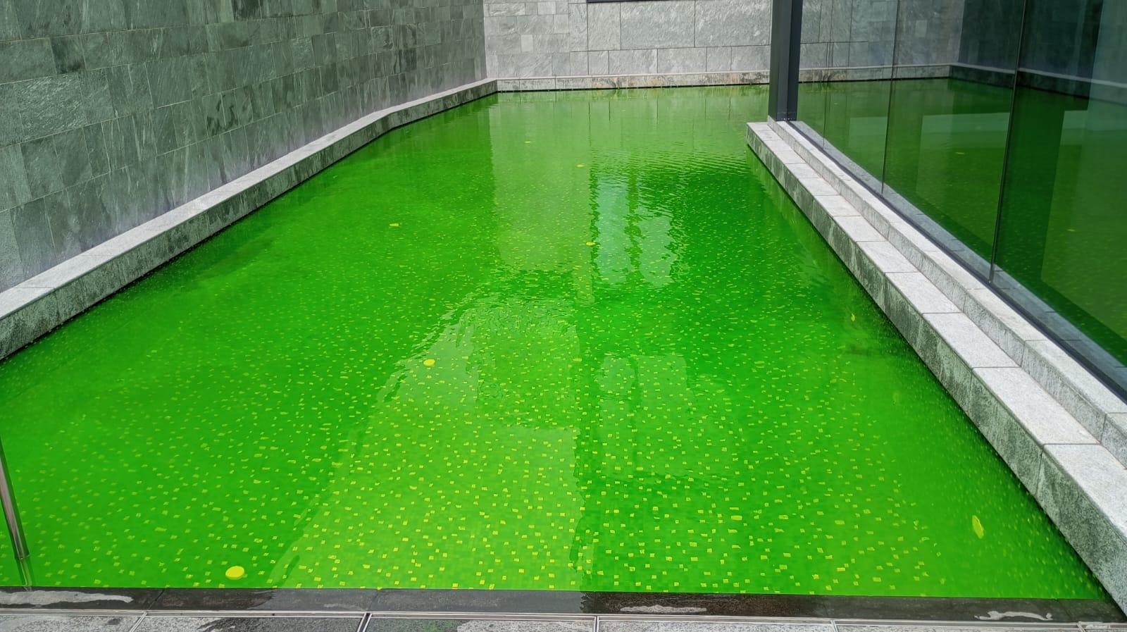 色水測試 - 服務圖片 1